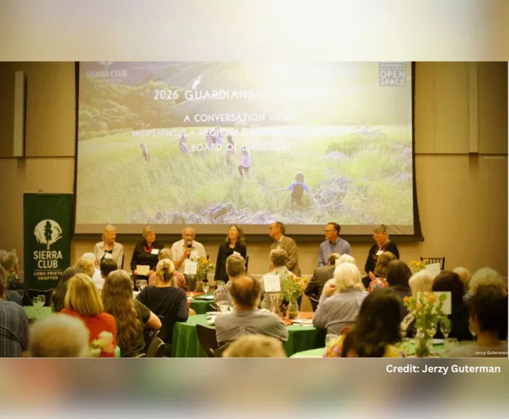 Thank you for a wonderful Guardians of Nature benefit