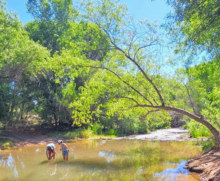 Water Sentinels volunteers at the verde river in AZ