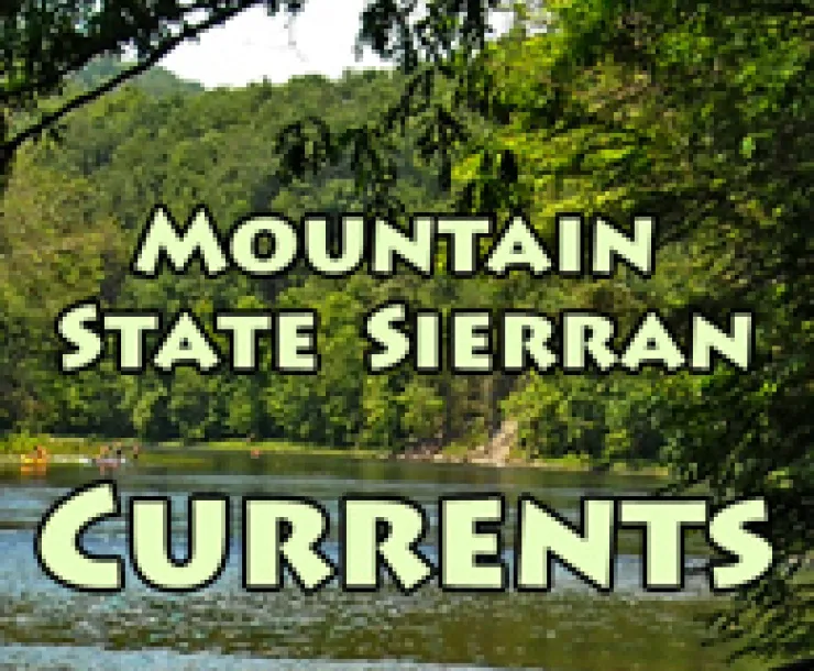 MSS Currents
