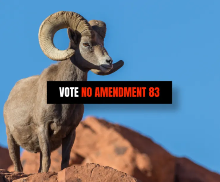 Vote no on amendment 83 with a mountain goat in the background 