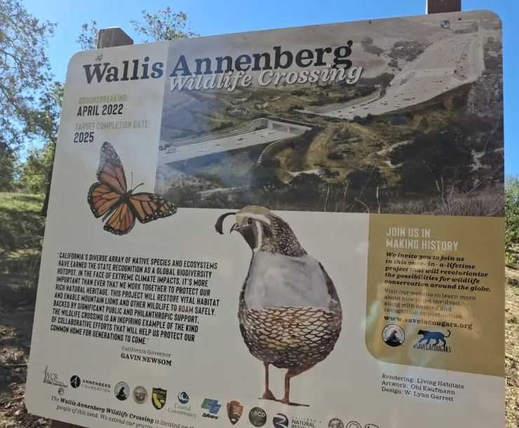 Wallis Annenberg Crossing