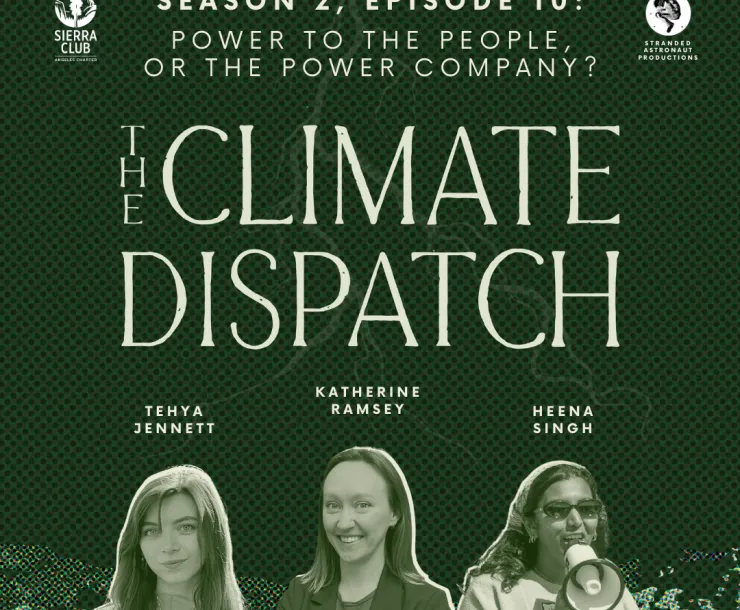 The Climate Dispatch