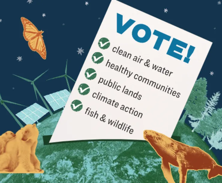 a graphic depicting the earth as a ballot box that says "vote! for clean air and water, healthy communities, public lands, climate action, and fish and wildlife.