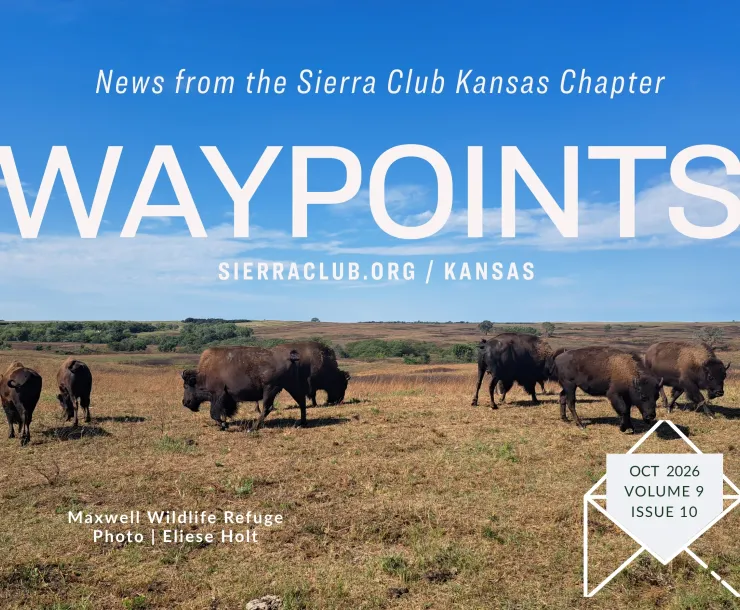 Oct Waypoints Header