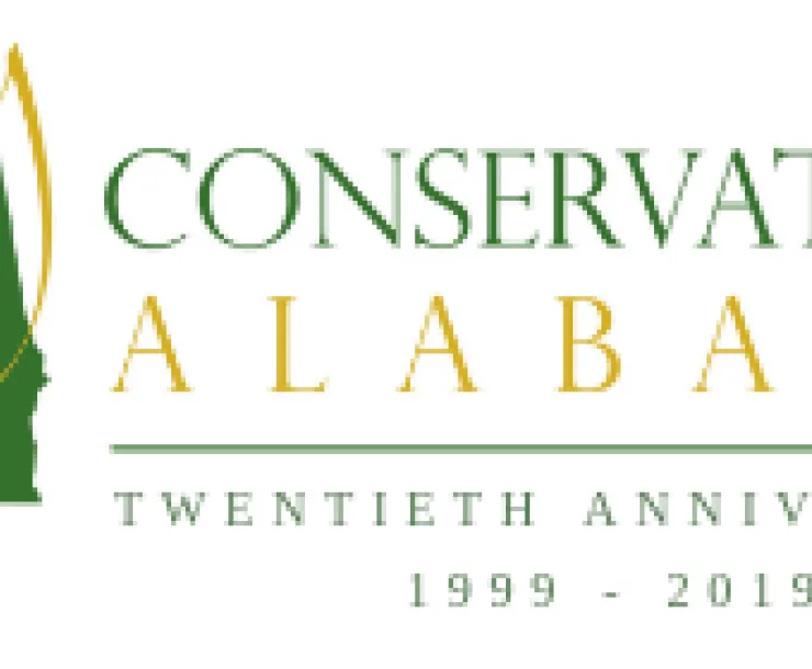Hi+Res+Logo+-+20th+Anniversary.png