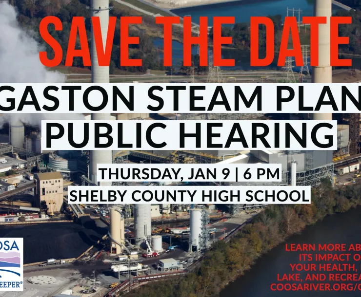 gaston steamplant hearing.jpg