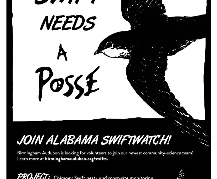 swiftwatch.jpg