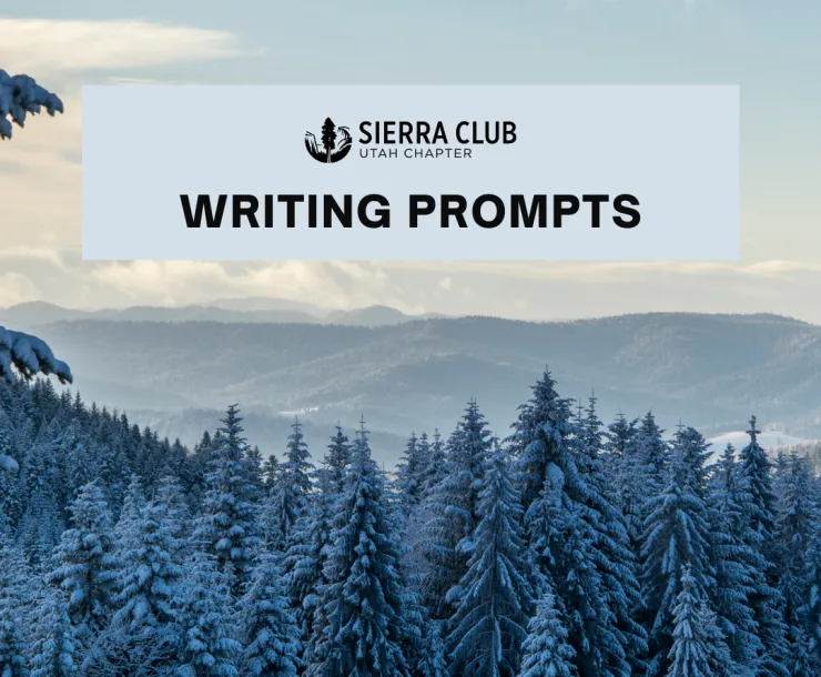 Writing Circle IG Post.png