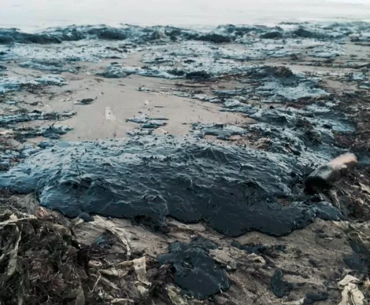 oilbeach.png