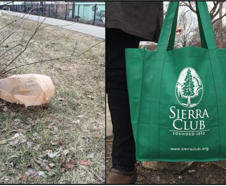#Tumblebag.jpg