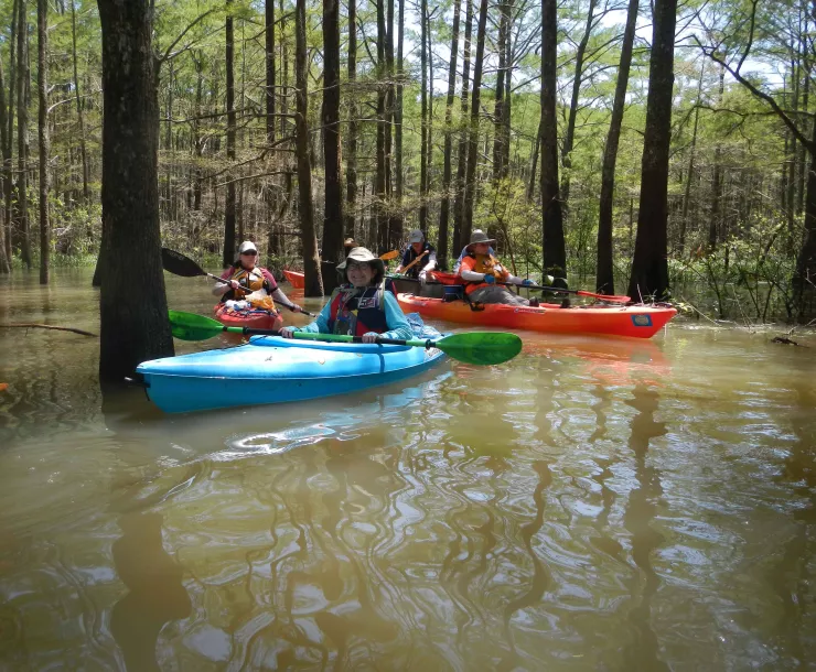 12 In the Woods - Linda Shead.JPG