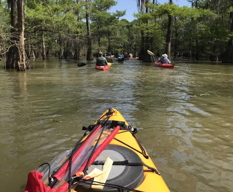 2-Into the Forest, by Richard Cunningham.jpg