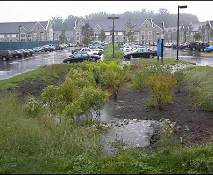 2016_Green Infrastructure tour.jpg