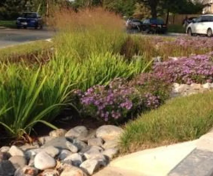 2016_Green Infrastructure tour4.jpg