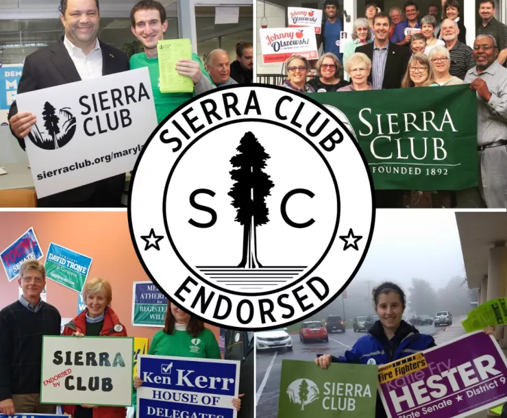 2018 Election Over Graphic.png