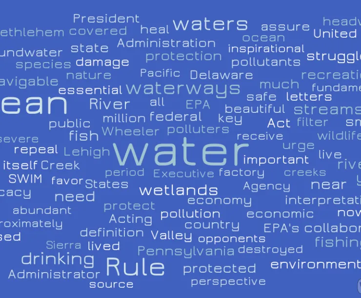 20181009 Rachel word cloud for blog.png