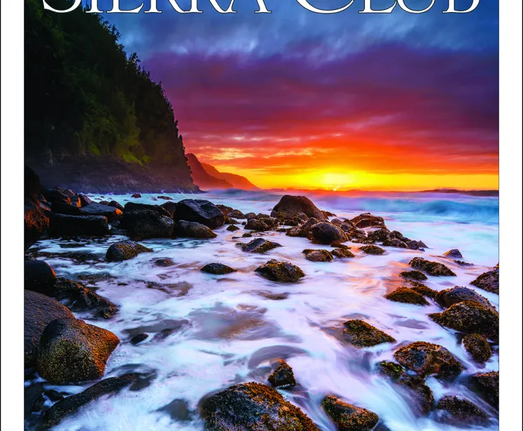2019 Wilderness frontcover_4x300dpi.jpg