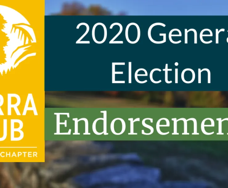 2020 General Election.png
