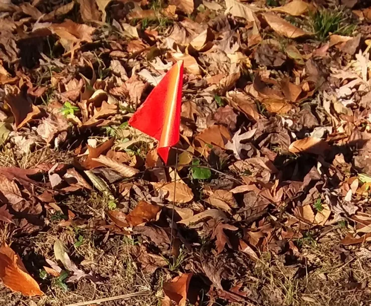 20201108_092032-crop1.jpg