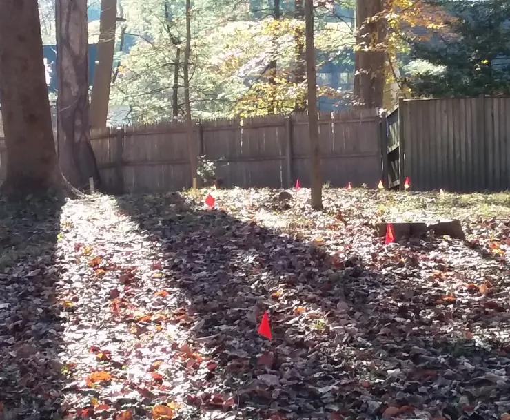 20201108_092727.jpg