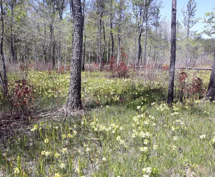 20220409_132840_resized copy.jpg