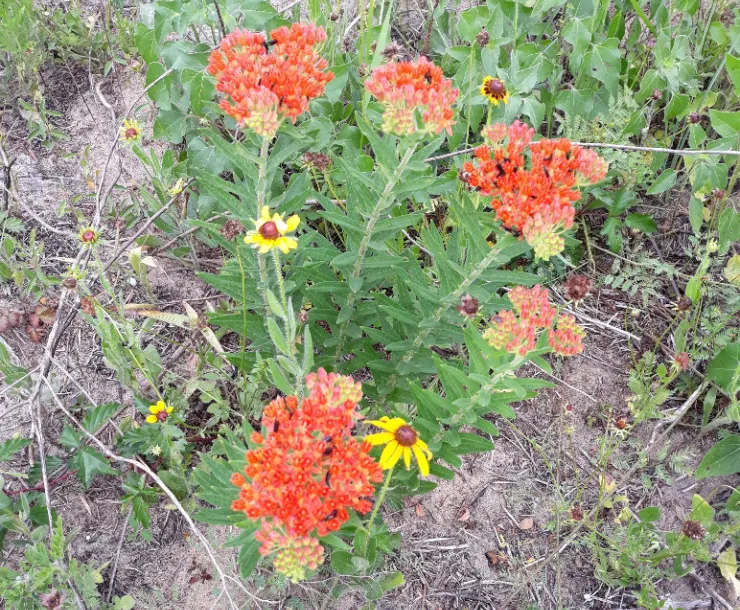 20220514_093809_cropped.jpg
