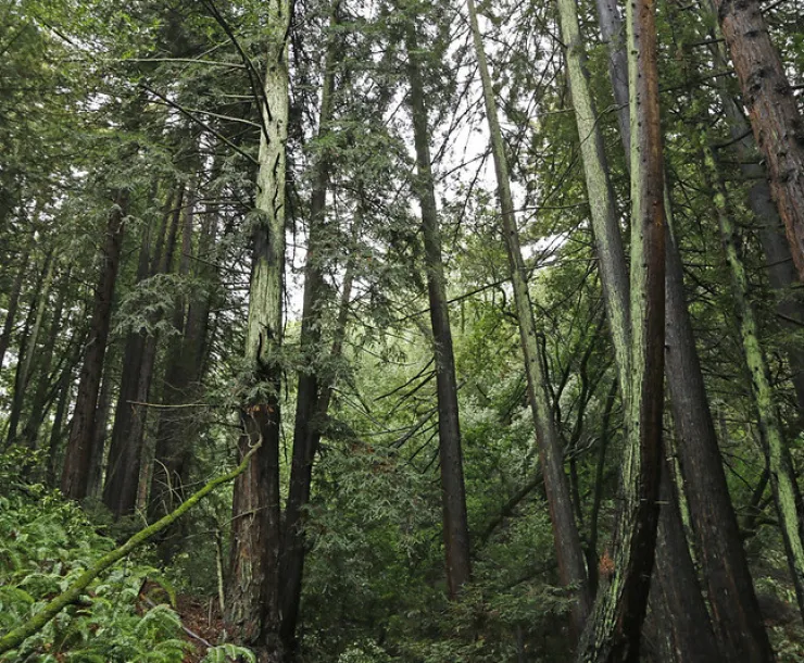 24537887161_1615a37c42_c.jpg