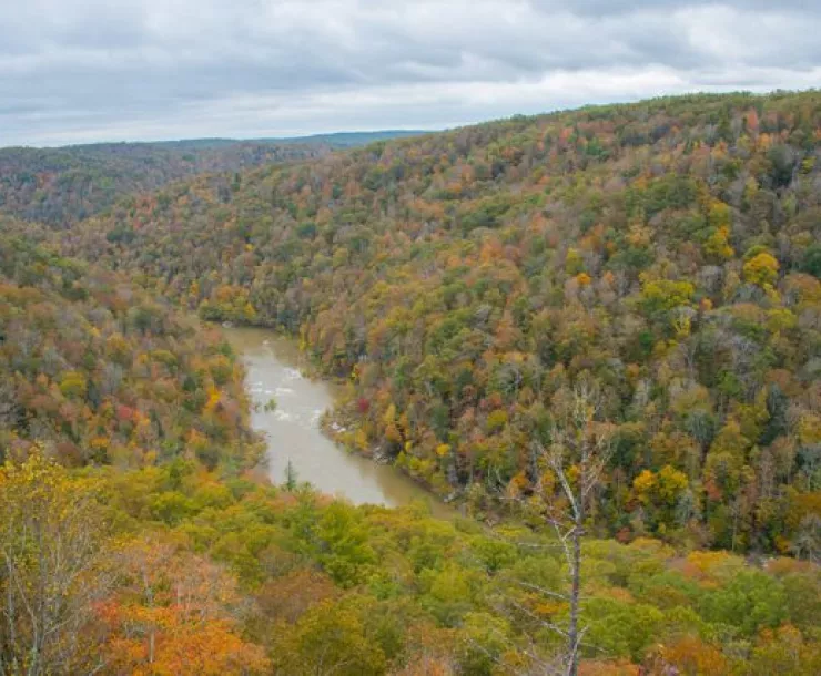 26 Big South Fork Overlook 02.jpg