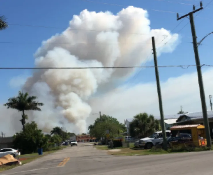 3 24 21 neighborhood plume (2)-1.png