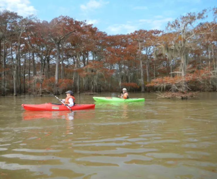 3-Western Shore-LS-B.JPG