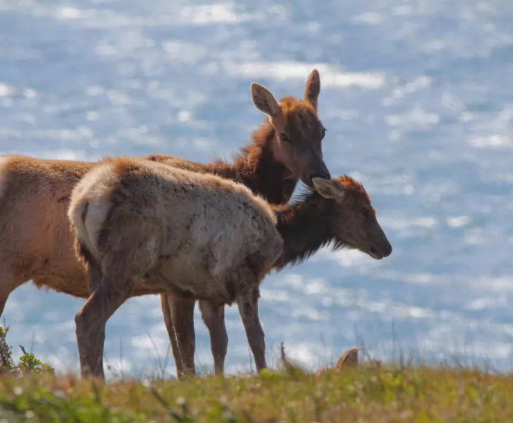 38738643140_49de272c57_k (1).jpg