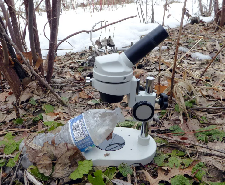 4-20 Microplastics.jpg