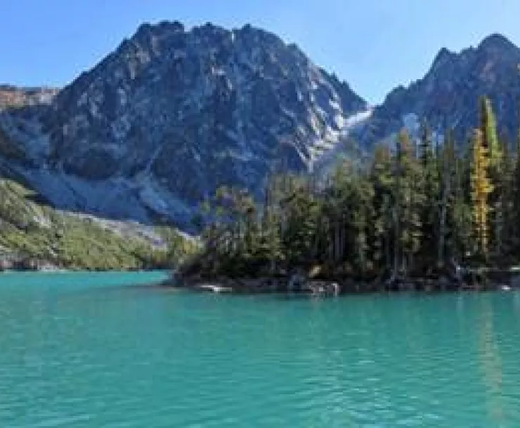 40 org oppose new dams.jpg