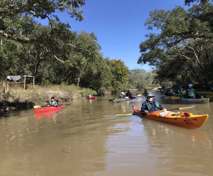 5-Nice Day by Dallas Ives.jpg