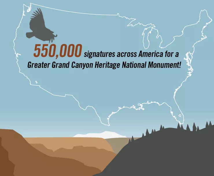 550,000 signatures graphic.jpg