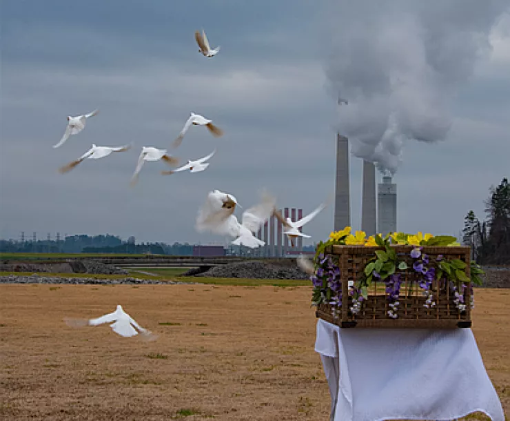 7 Doves Fly Free thumb.png