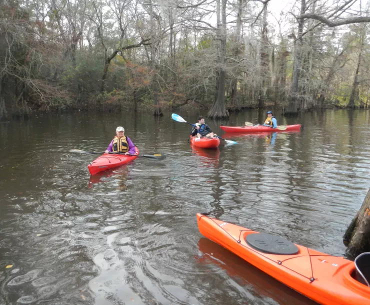 8-Almost Back by Linda Shead.jpg