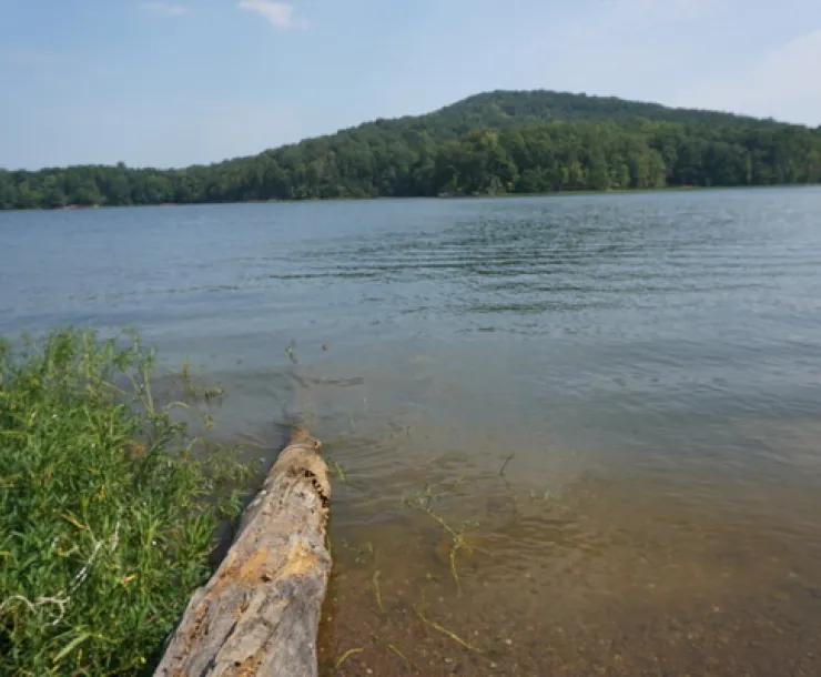 Badin Lake.jpeg
