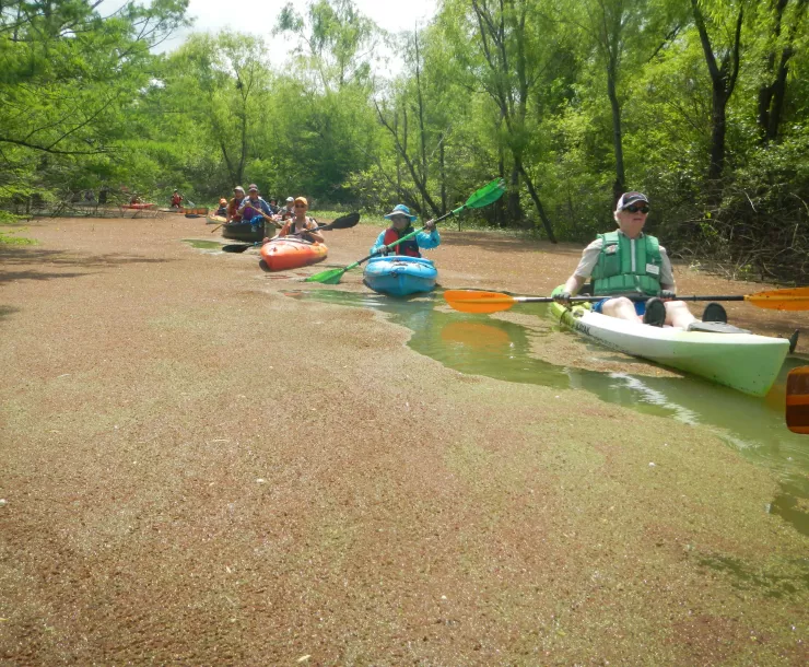 Bayou Banner Cover Photo.JPG