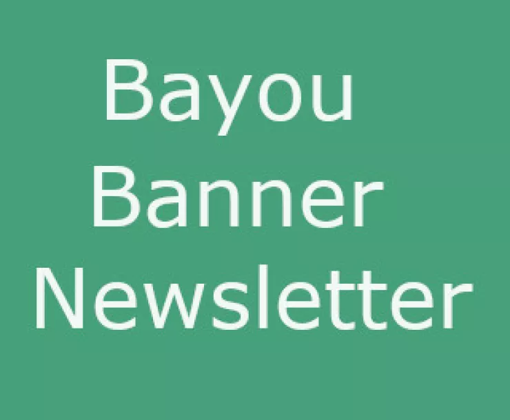 BayouBannerLogo.jpg