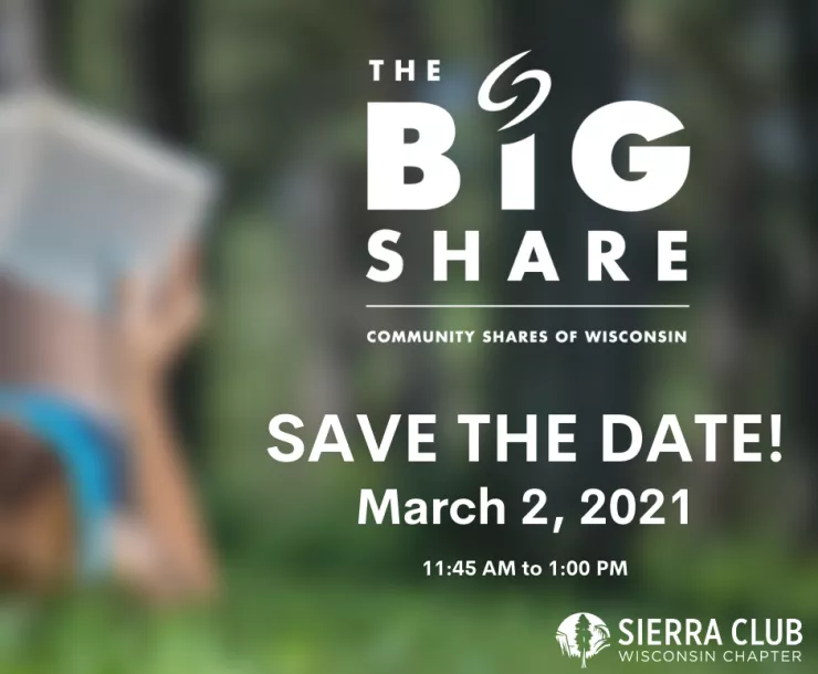Big Share Graphic.png