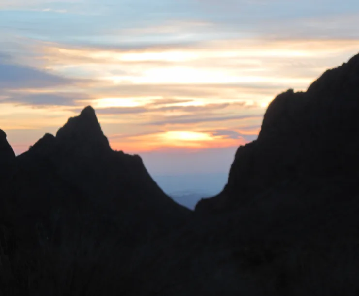 BigBend-EvelynMerz3-2015.JPG