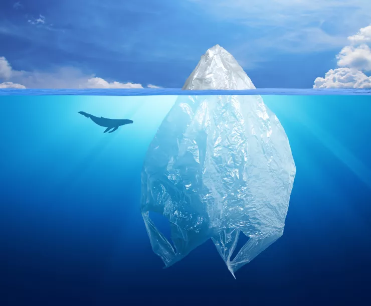 Bigger image.103856150_xl.jpg