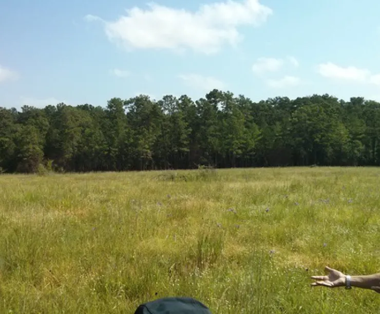 BlackLandPrairieBrandt.jpeg