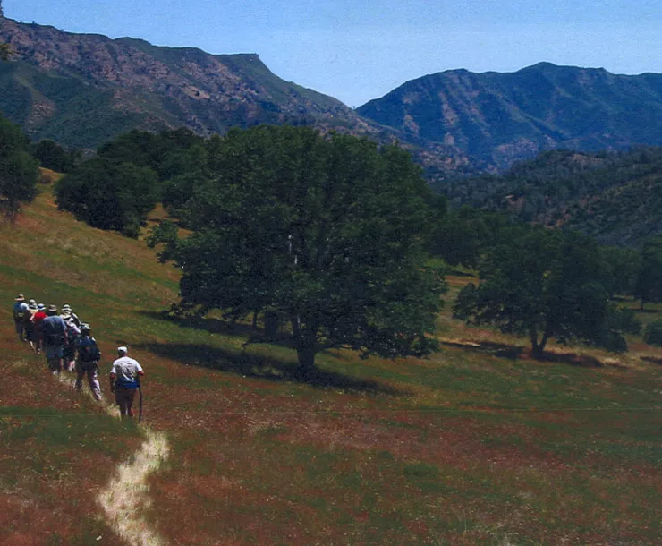 Brophy canyon.jpg