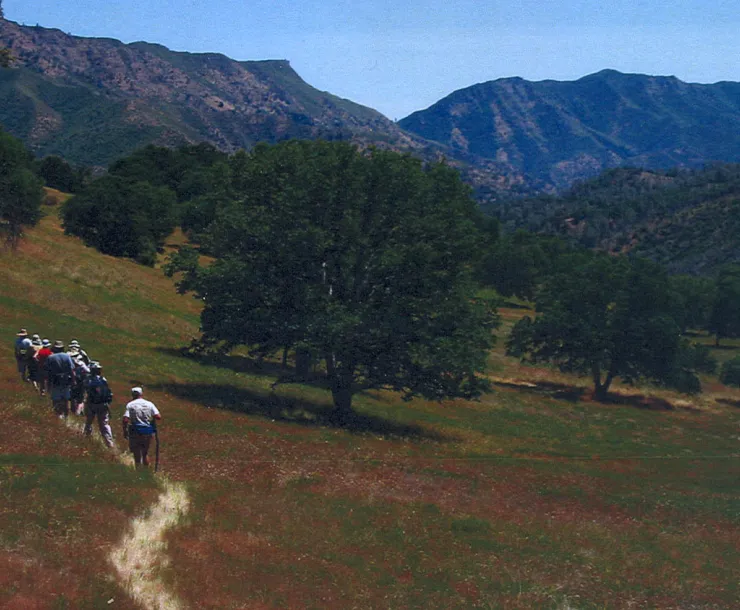 Brophy canyon.jpg