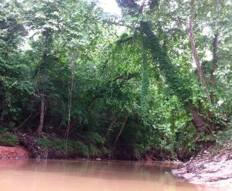 BuffaloBayou.png