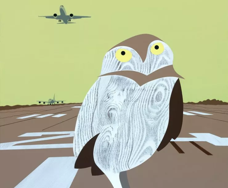 Burrowing_Owl_LAX_by Hilary Baker.jpg