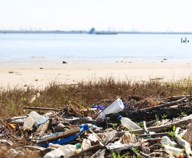 CHP-TX-1900-GalvestonBayDebris.jpg