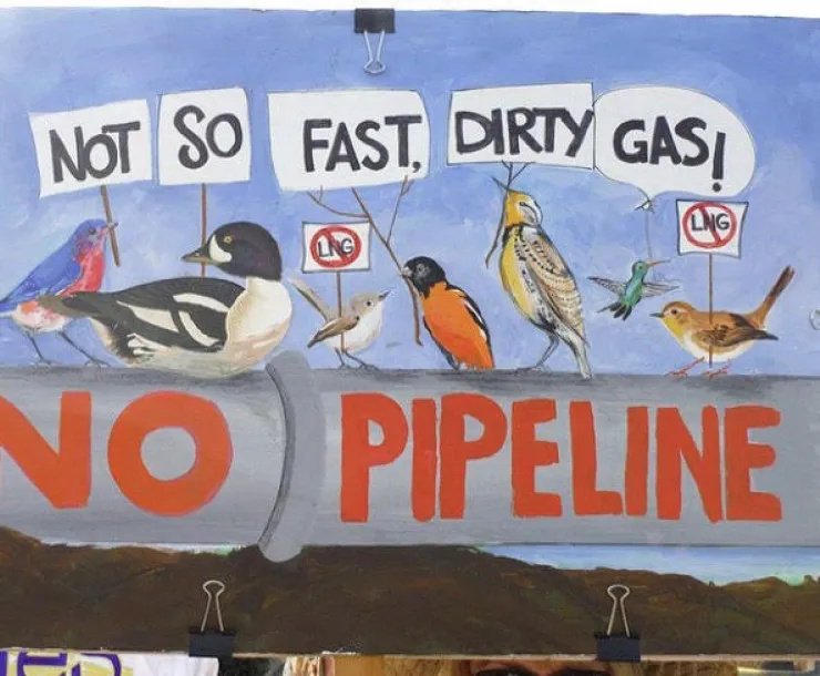 CHP-TX-1900-NOLNG.jpg